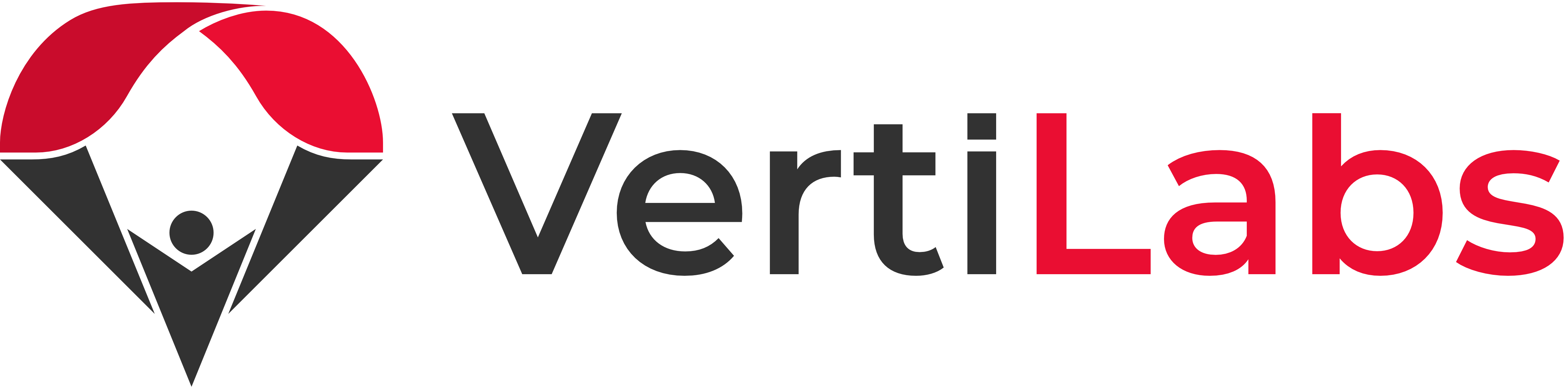VertiLabs Logo